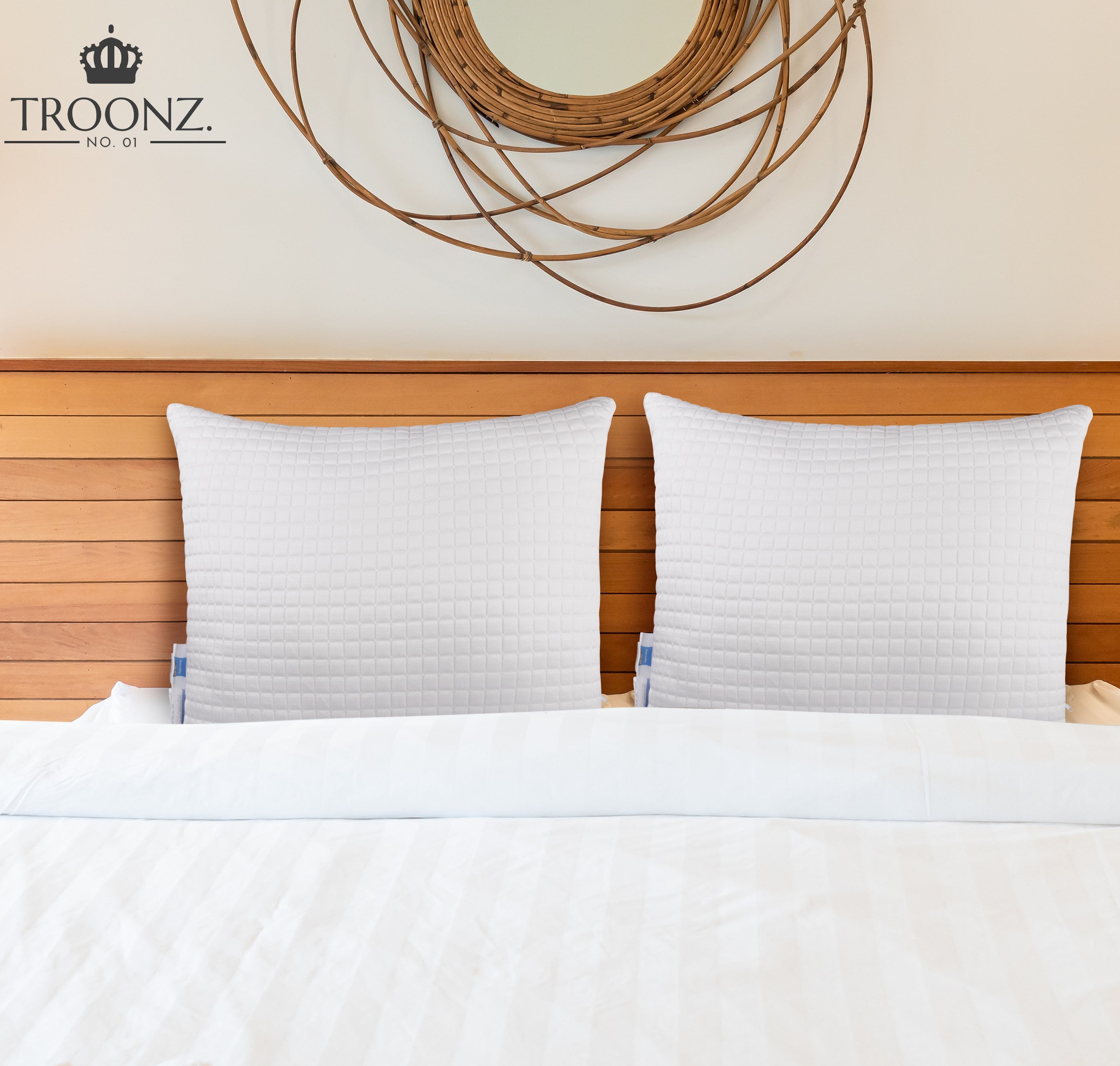 Troonz Verkoelend Hoofdkussen One