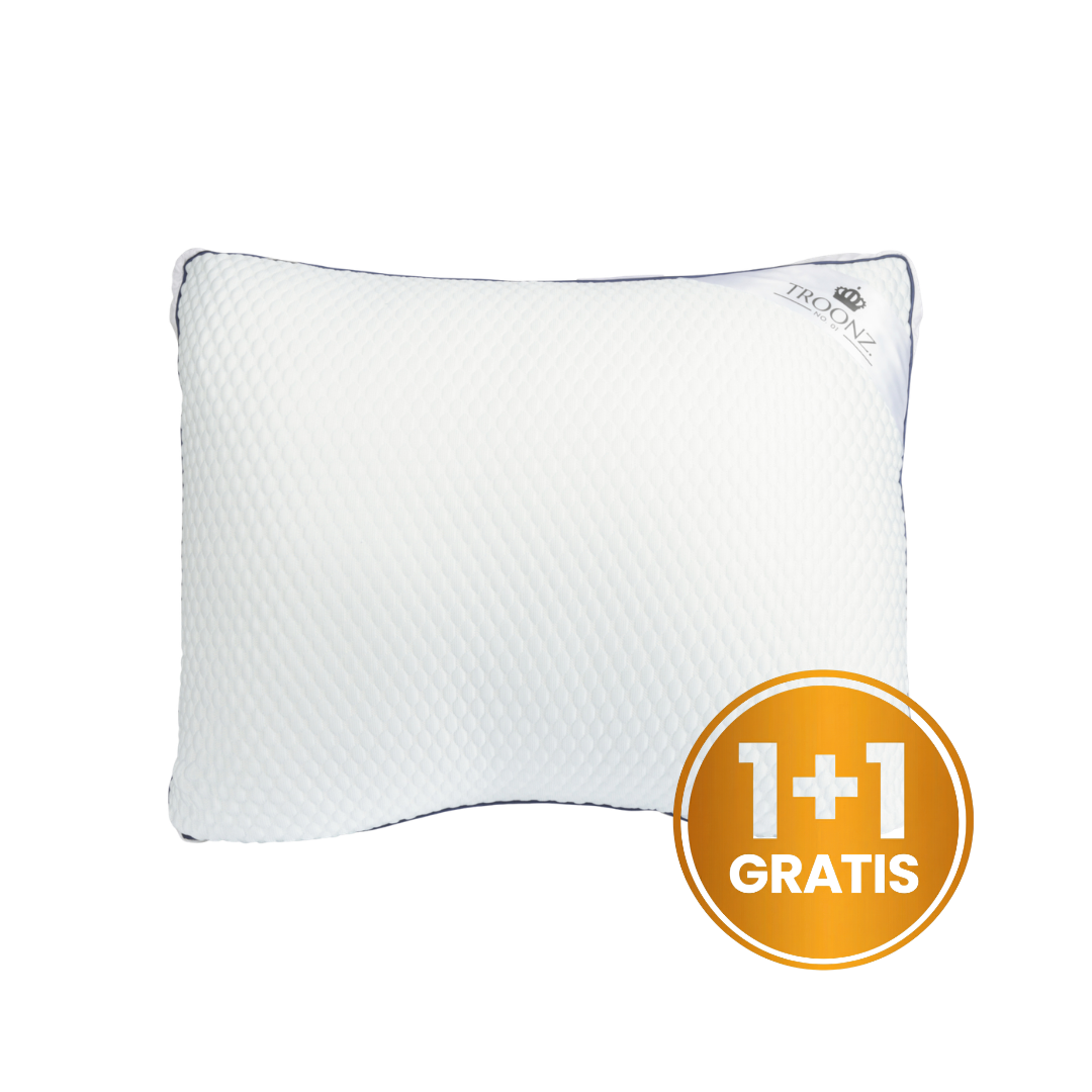 Oreiller Troonz Dreamscape Plus